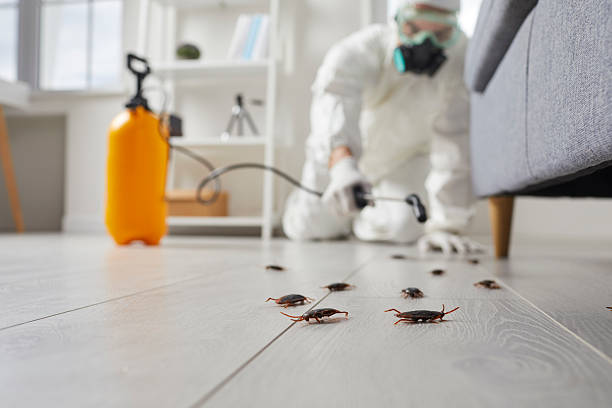 Commercial Kitchen Cockroach Control in Longview